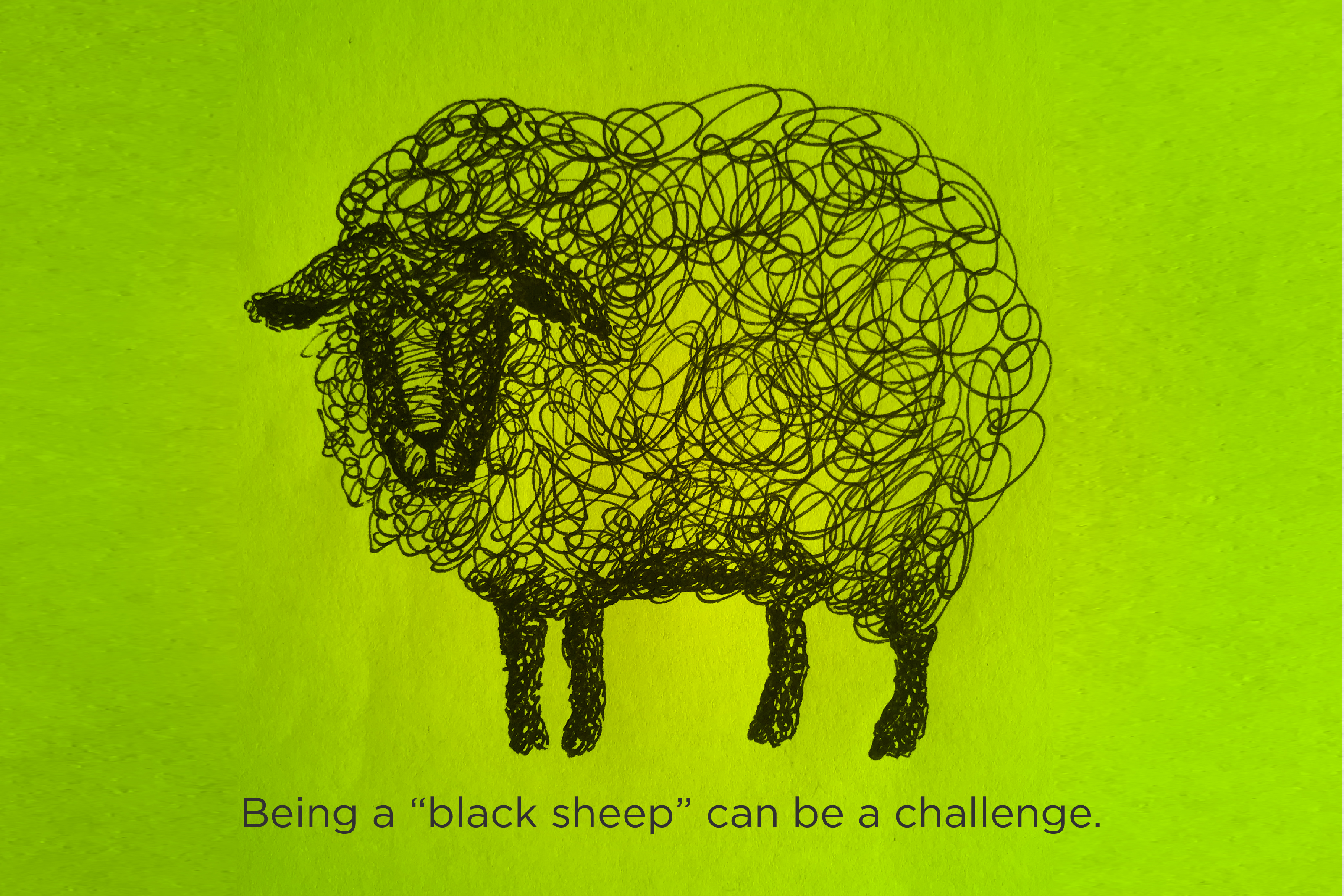 Communication Research Investigates Black Sheep Msu Comartsci