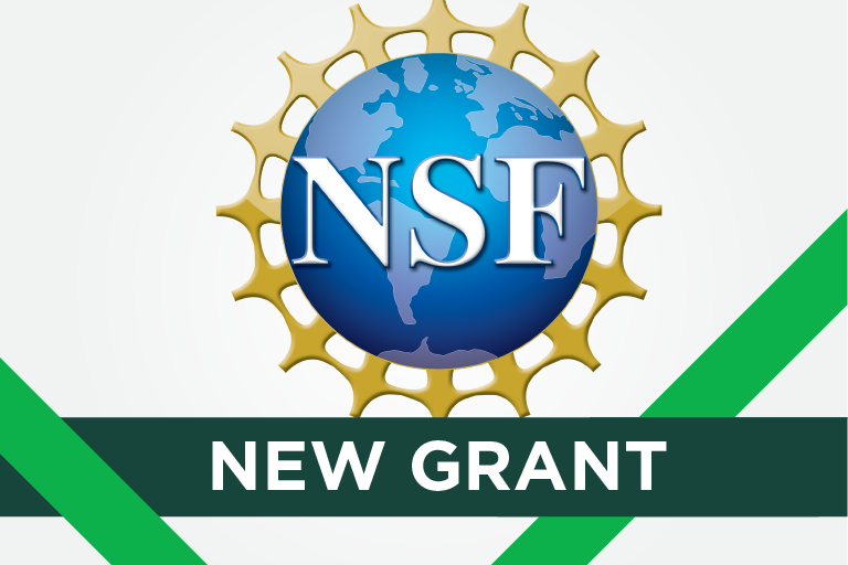 New NSF Grant with NSF logo