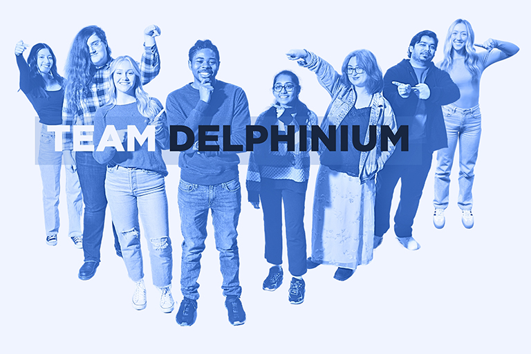 Team Delphinium