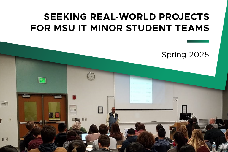  Instructors Teagan Dixon and Tom Day are leading a course that requires more than a dozen student teams to work with businesses, governments, nonprofits and MSU researchers on a real-world project.