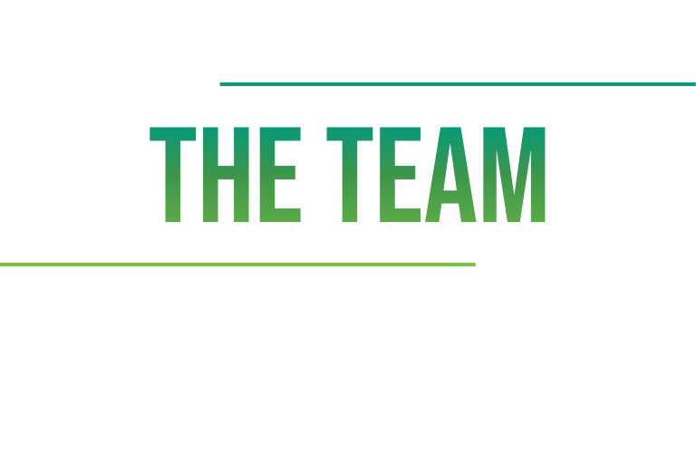 graphic that says "THE TEAM"