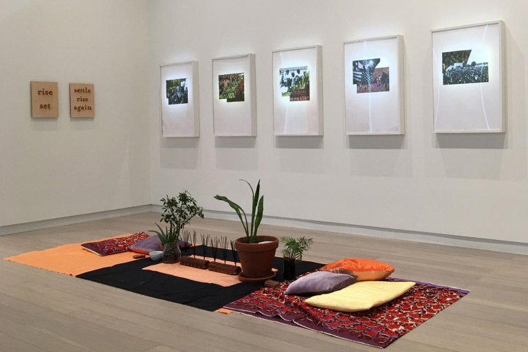 room rugs and plants