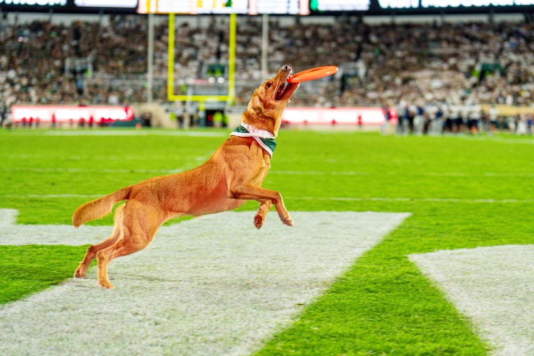 Zeke V catching a frisbee