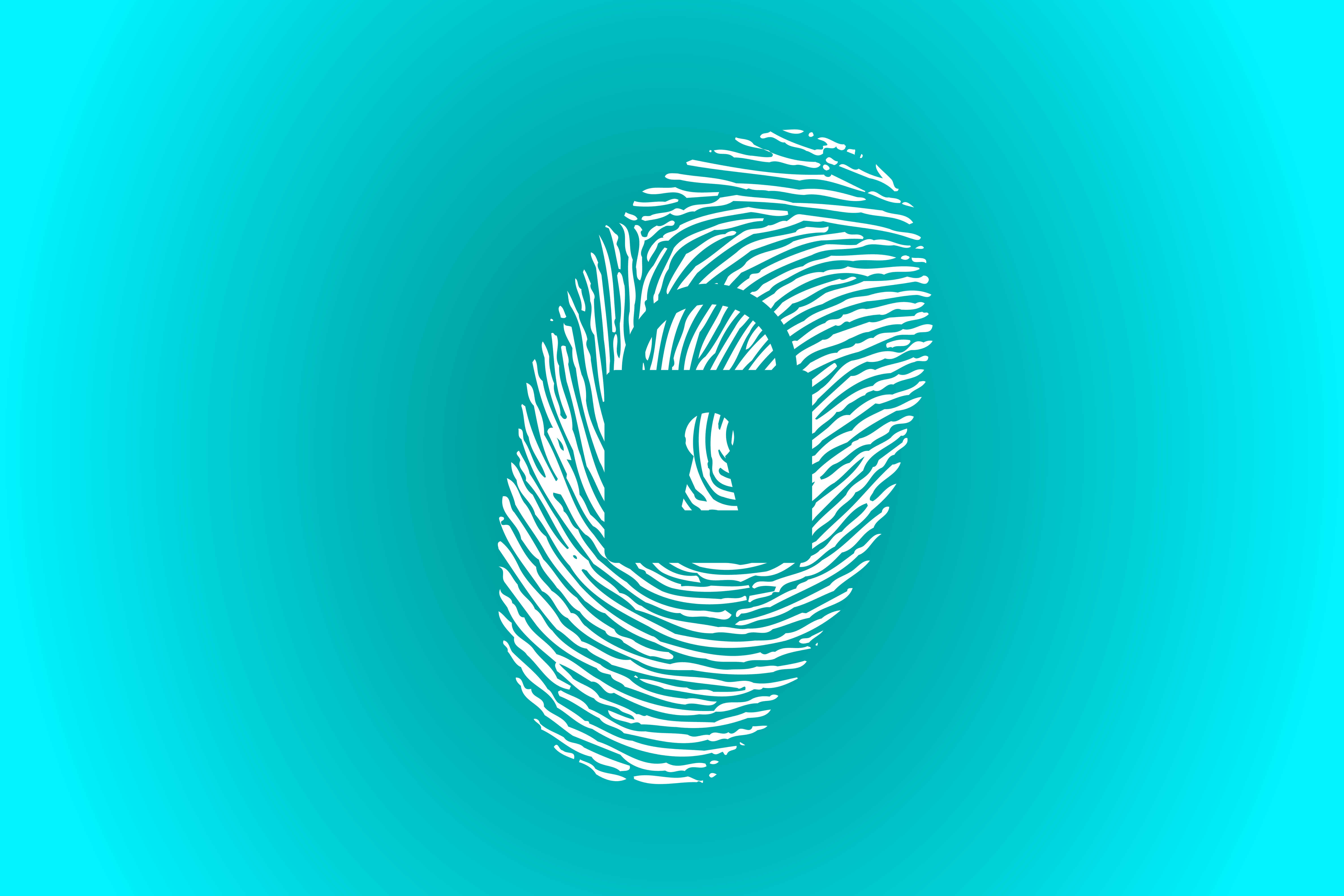 Graphic of thumbprint with lock on top