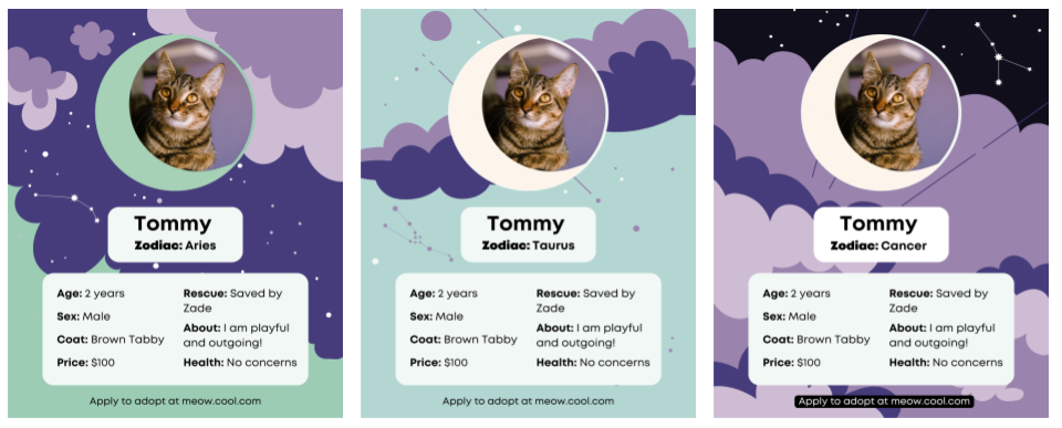 3 social media versions of the cat info template (dark and light purple and mint green) with details for age, sex, rescuer, coat, price, and health.