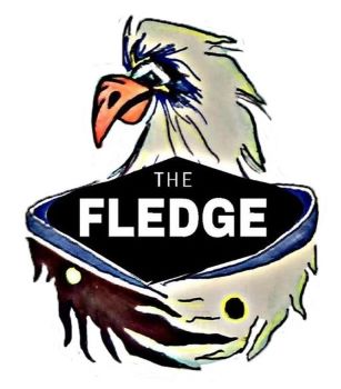 Team Ivy | The Fledge | MSU Communication Arts and Sciences