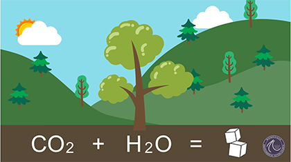 illustration of carbon dioxide and water making sugar